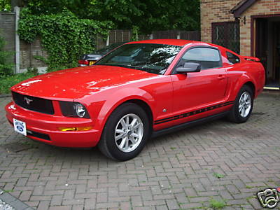 mustang mustang