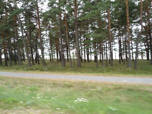 Baltic sea coast road