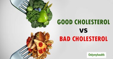 Decoding Nutrition: 40 Revelations That Outshine a Medical Degree