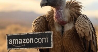 Taking Amazon to Small Claims Court as a UK Seller - Part 4